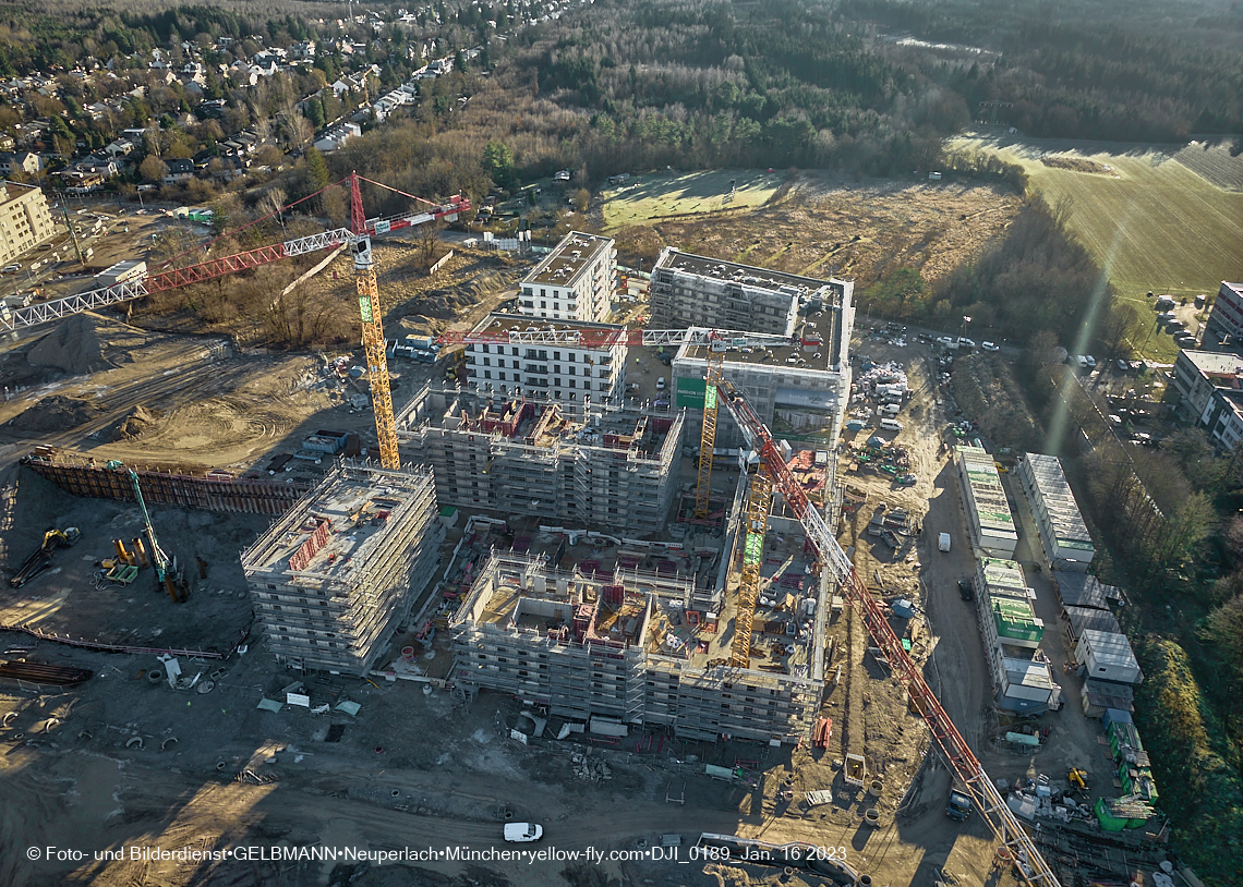 16.01.2023 - Alexisquartier und Pandion Verde